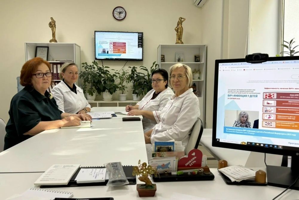 Заседание Профильной комиссии